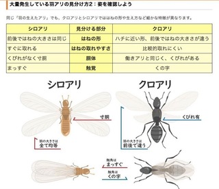 スクリーンショット 2019-08-28 11.06.53.jpg